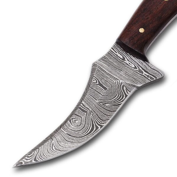 Custom handmade Damascus steel Hunting Skinner knife, mini Knife, Survival knife, Full tang knife, With Wooden Handle - Image 2