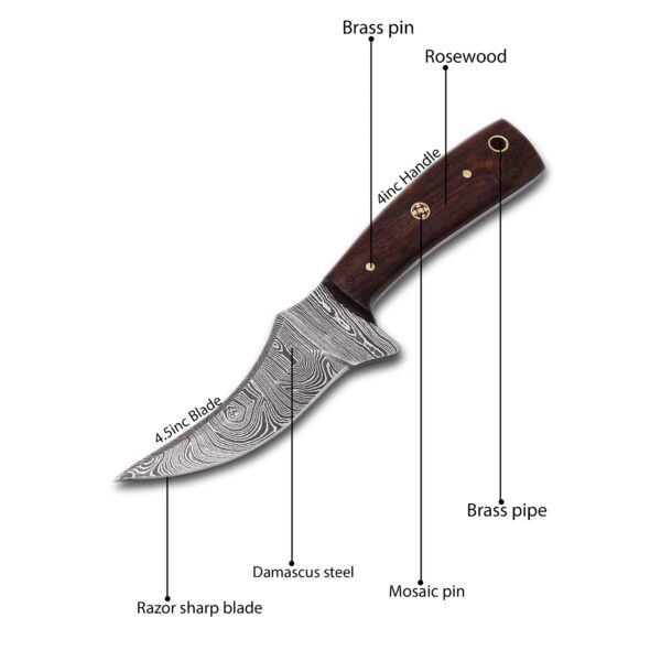 Custom handmade Damascus steel Hunting Skinner knife, mini Knife, Survival knife, Full tang knife, With Wooden Handle - Image 4