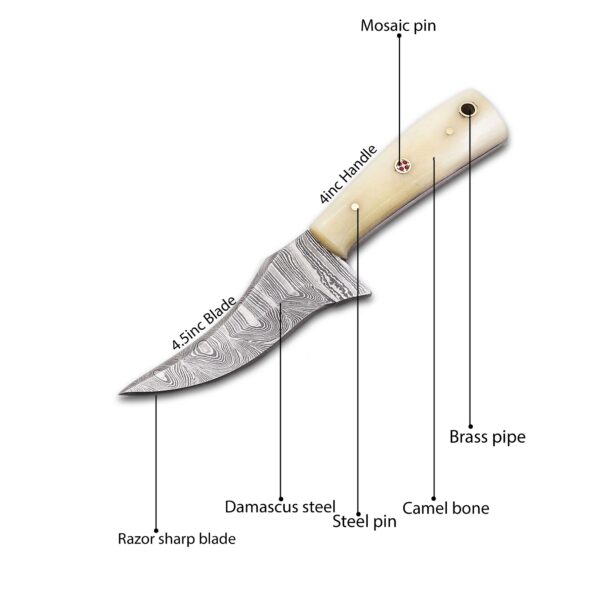 Custom handmade Damascus steel Hunting Skinner knife, mini Knife, Survival knife, Full tang knife, With Camel Bone Handle - Image 7